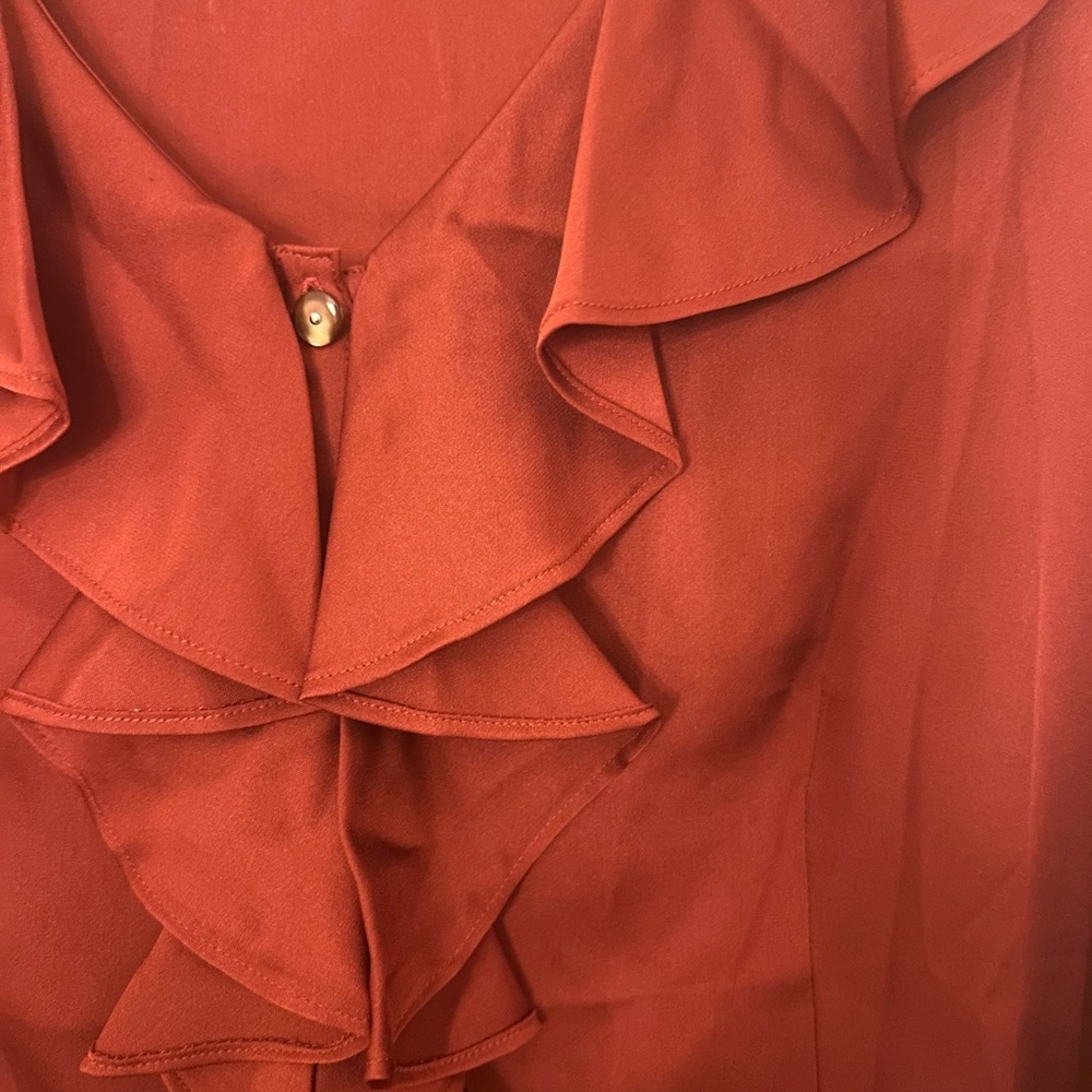 Talbots Rust Ruffle Blouse - Picture 3 of 3